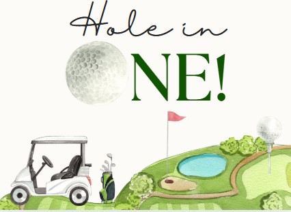 website hole in one